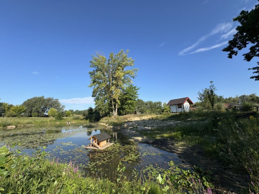 VEČER POD ZVIJEZDAMA Suze Svetog Lovre nad Velikim Bukovcem
