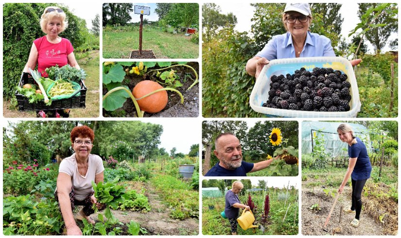 BIŠKUPEČKI VRTOVI &quot;Kad ruke porinem v zemlju, zdrava sam, i sretna!&quot;