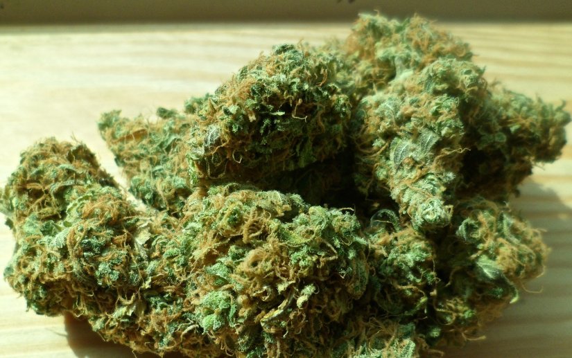 Istražni zatvor za 30-godišnjeg Slovenca kojeg su ulovili s 8,2 kg marihuane