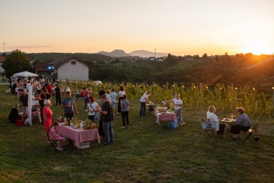 VIDEO, FOTO Održan 2. Gala piknik u vinogradu Vinarije Košćak