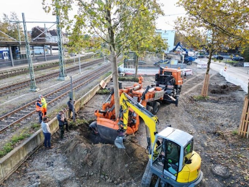 FOTO U Ravensburgu posađeno drvo prijateljstva s Varaždinom