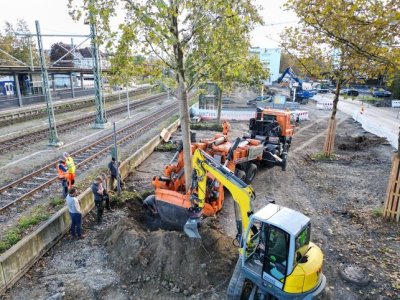 FOTO U Ravensburgu posađeno drvo prijateljstva s Varaždinom