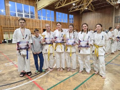 Pet medalja za članove AIK-a na turniru u Mađarskoj