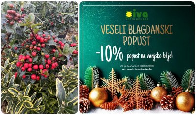 VRTNI CENTAR IVA Iskoristite blagdanski popust od 10% i oplemenite svoj prostor ili obradujte dragu osobu