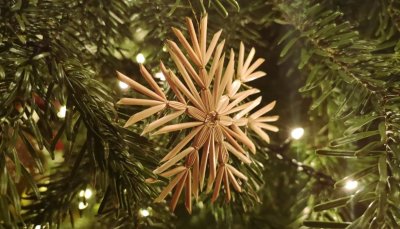 Božić je blagdan obitelji: "Za Božić i tič i mi&scaron; imaju mir!"