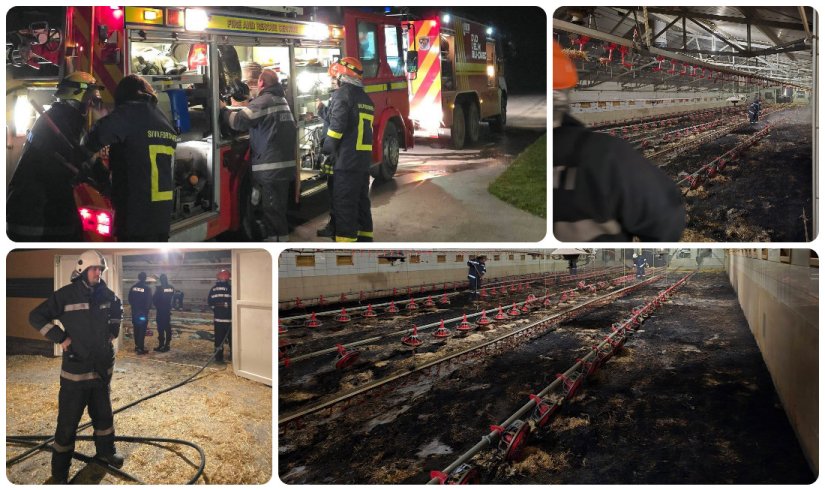 Drama u Velikom Bukovcu: buknuo požar u peradarniku, uginulo vi&scaron;e tisuća pilića