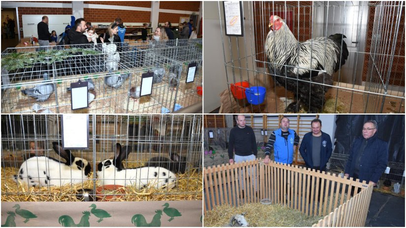 FOTO Izložba malih životinja u Ivancu i ove godine odu&scaron;evila brojne posjetitelje