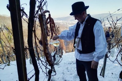 Vincekovo na bregu Vi&scaron;ograd u Leskovcu Topličkom