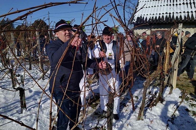 Početak nove vinogradarske godine obilježit će se i u Gornjem Martijancu