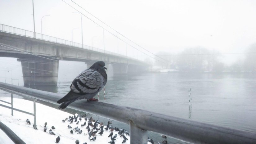 Varaždin i okolica danima u magli - akumulacijsko jezero HE na to (ne) utječe