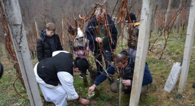 Vincekovo na Lovrečan Bregu: Udruga &bdquo;Sveti Martin&rdquo; Cestica poziva na proslavu