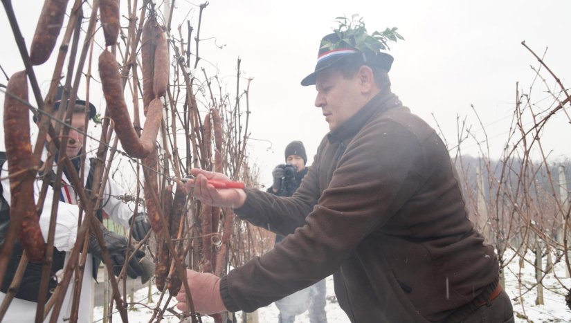 Općina Martijanec nastavlja s potporama vinogradarima i voćarima