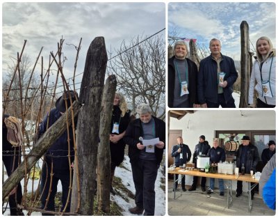 FOTO Vincekov pohod na pitomim obroncima Voće &ndash; doživljaj koji bri&scaron;e granice vremena