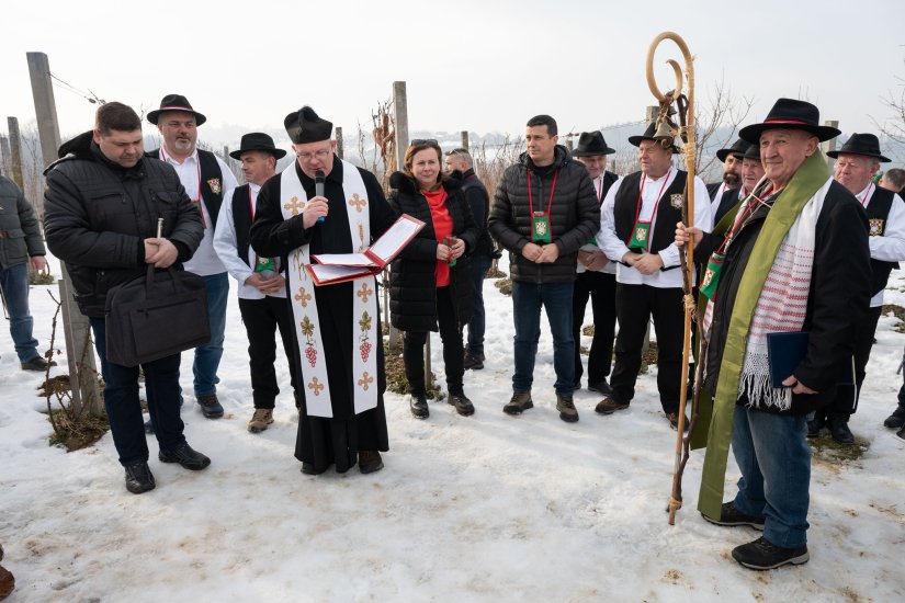 FOTO Vincekovo na Varaždin Bregu uz prigodne delicije i Stare mladiće