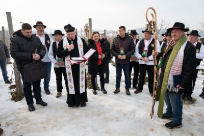 FOTO Vincekovo na Varaždin Bregu uz prigodne delicije i Stare mladiće