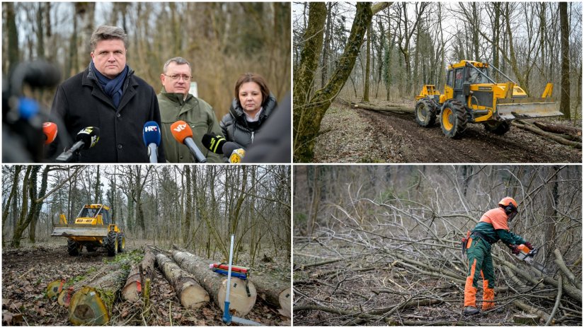 FOTO Započeli radovi na obnovi Dravske park &scaron;ume