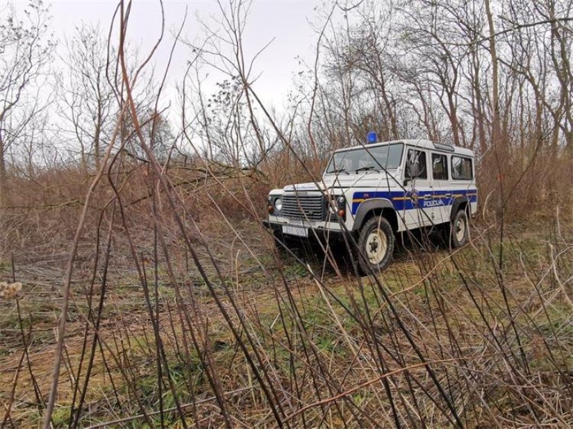 Protuzakoniti lov: srna uginula nakon &scaron;to se zaplela u žičanu zamku