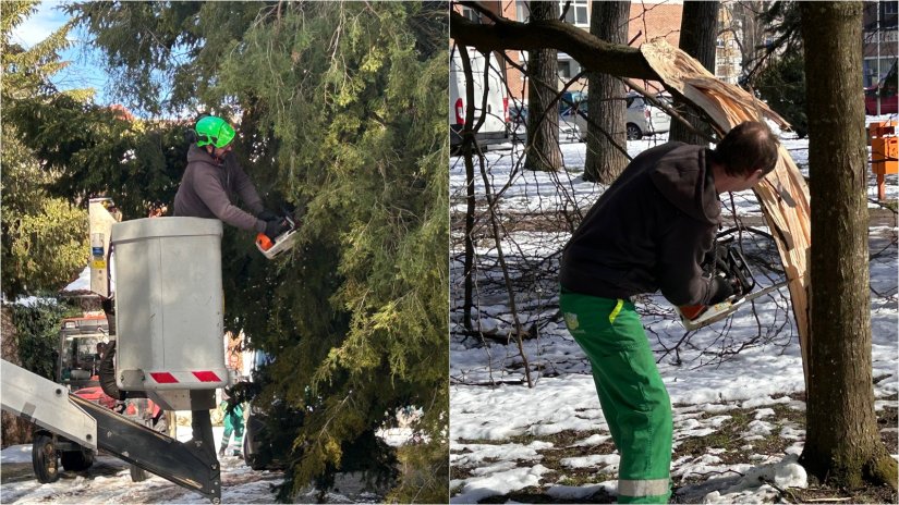U tijeku sanacija &scaron;tete od mokrog snijega na stablima u Varaždinu