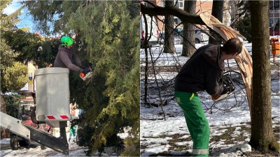 U tijeku sanacija &scaron;tete od mokrog snijega na stablima u Varaždinu