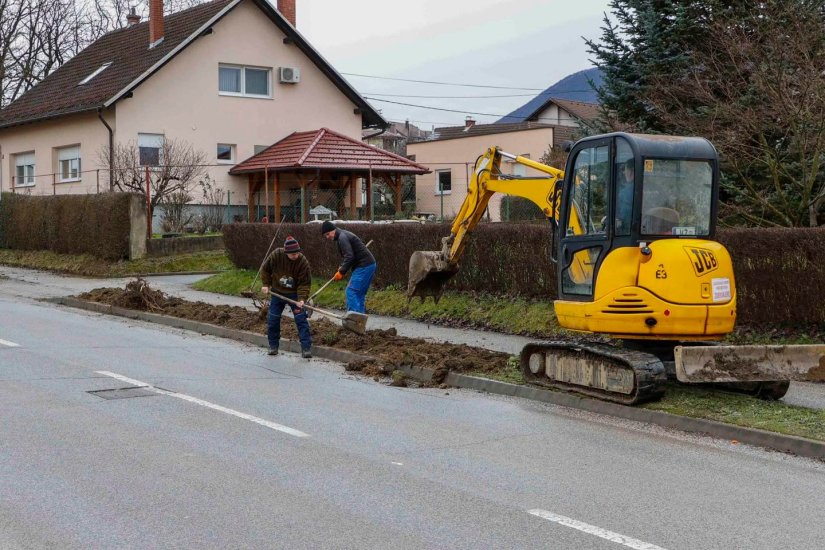 Odabrana vrsta stabla za drvorede u Varaždinskoj i Malezovoj ulici