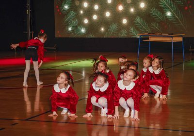 GRAD IVANEC Udrugama ove godine rekordnih 96.300 &euro;!