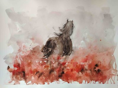 Mlada umjetnica Ines Rajnović predstavlja se s 10-ak akvarela pod nazivom "Kas kroz makove"