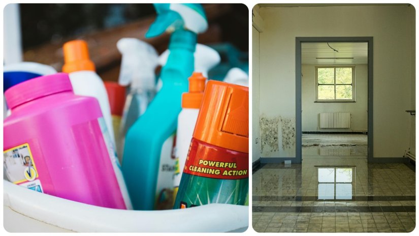 I-VENT Internet je prepun "čudesnih" proizvoda za eliminaciju vlage i gljivica; da li stvarno djeluju?