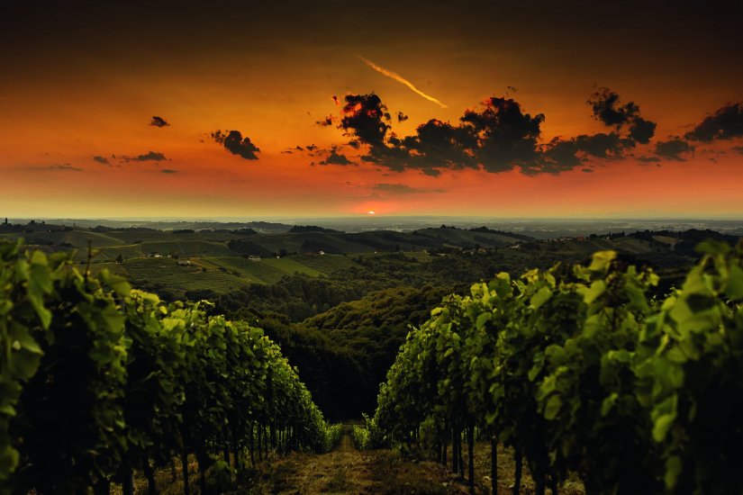 Međimurska županija: Regija koja ne prati trendove, već ih stvara