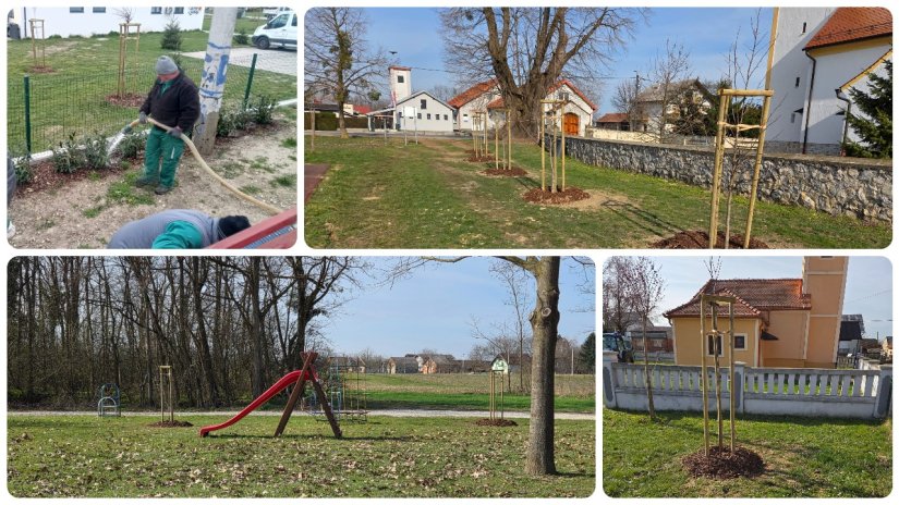 Najveće ozelenjivanje u povijesti Petrijanca; na 18 lokacija posadit će se ukupno 826 stabala i 535 komada grmlja
