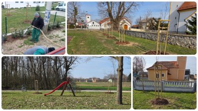 Najveće ozelenjivanje u povijesti Petrijanca; na 18 lokacija posadit će se ukupno 826 stabala i 535 komada grmlja