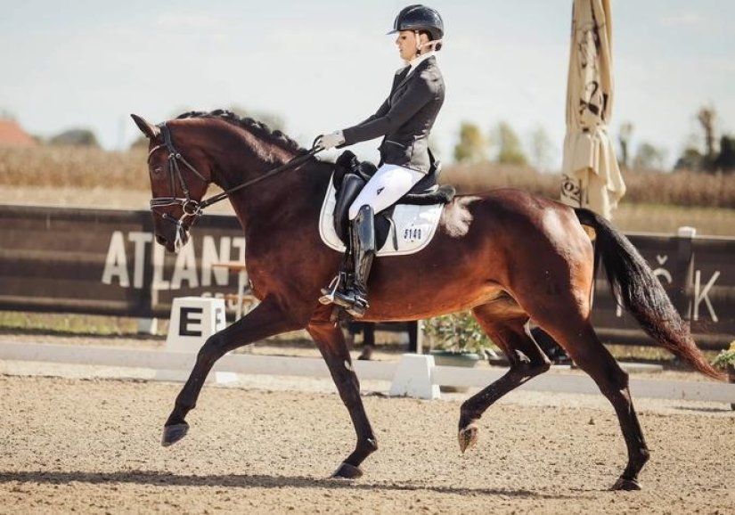 Konjički klub Varaždin &rsquo;95 poziva na Dan otvorenih vrata