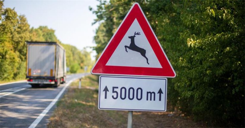 Četiri naleta na divljač u posljednja 24 sata