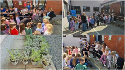 FOTO Općina Jalžabet: Male ruke za veliko zeleno sutra