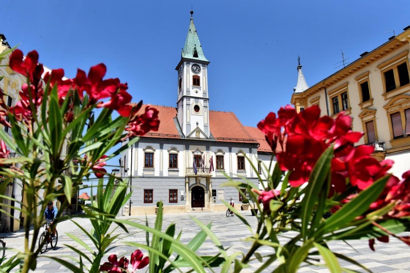 SAVJETOVANJE O davanju na upravljanje i kori&scaron;tenju gradskih nekretnina Gradskoj tržnici Varaždin