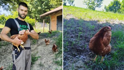 S farme Jakopović stižu jaja sretnih koka