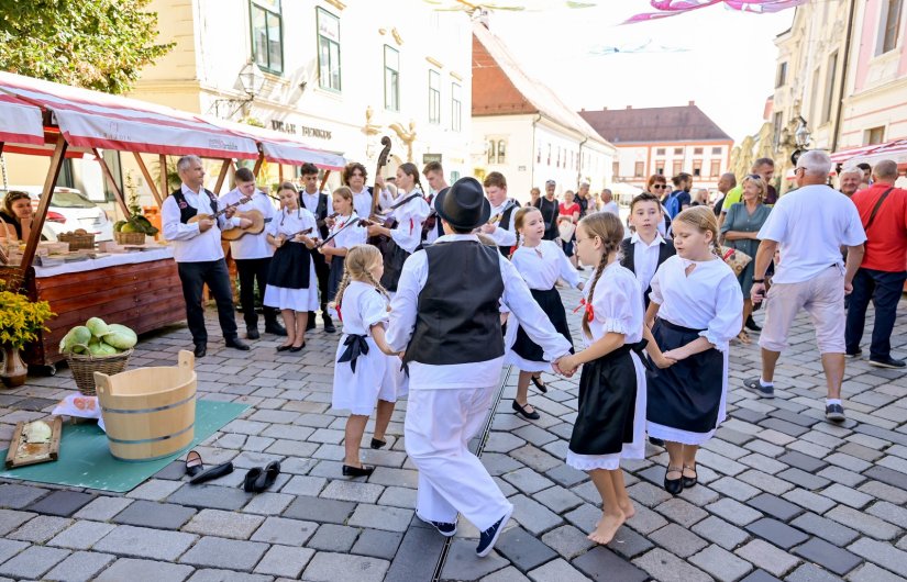 Od gula&scaron;a do zelja i ruža: Sajmom udruga u poljoprivredi počinju Dani Varaždinske županije