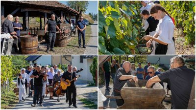 FOTO Uz pjesmu pobrali i "potancali" grožđe: Skrajski pajda&scaron;i proslavili jubilarnu starinsku berbu