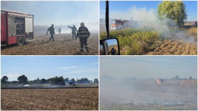 FOTO Četiri vatrogasna dru&scaron;tva i poljoprivrednici borili se s velikim požarom, ga&scaron;enje otežavao vjetar