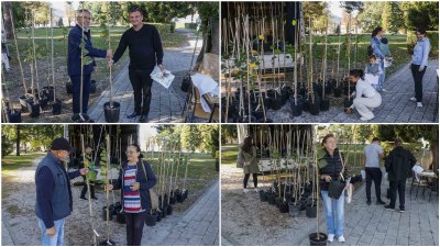 IVANEČKA LIPA Grad Ivanec građanima poklonio novih 150 kloniranih lipa