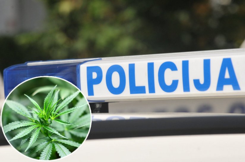Ivanečki policajci mu pretražili kuću, prona&scaron;li kilogram marihuane