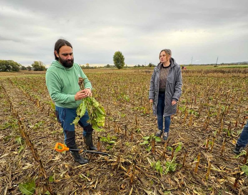 Inovativni projekt: pripreme za istraživanja na poljima Varaždinske županije