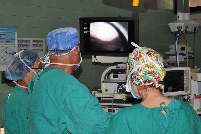 laparoskopija 3