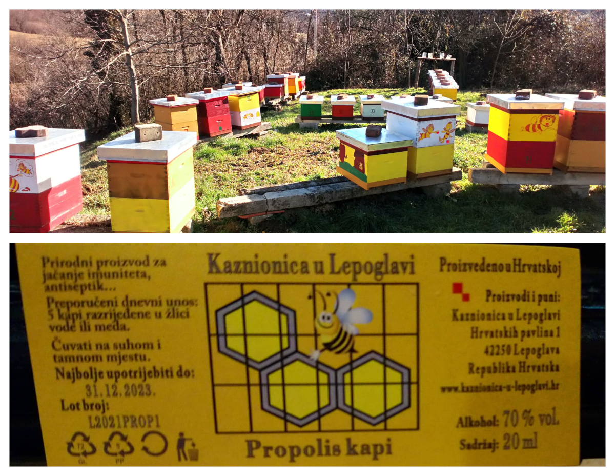bitosevje1.jpg