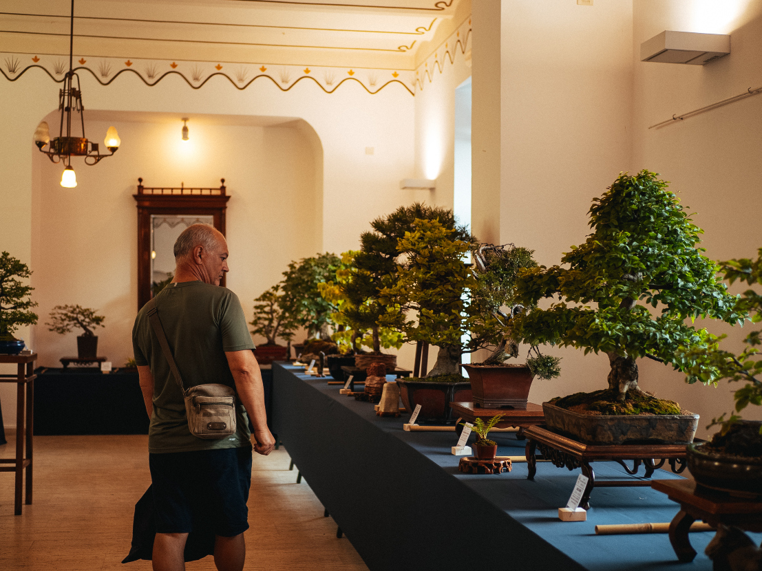 Porcijunkulovo__izlozba_bonsai_drvca_udruga_Sjeverozapad.jpg