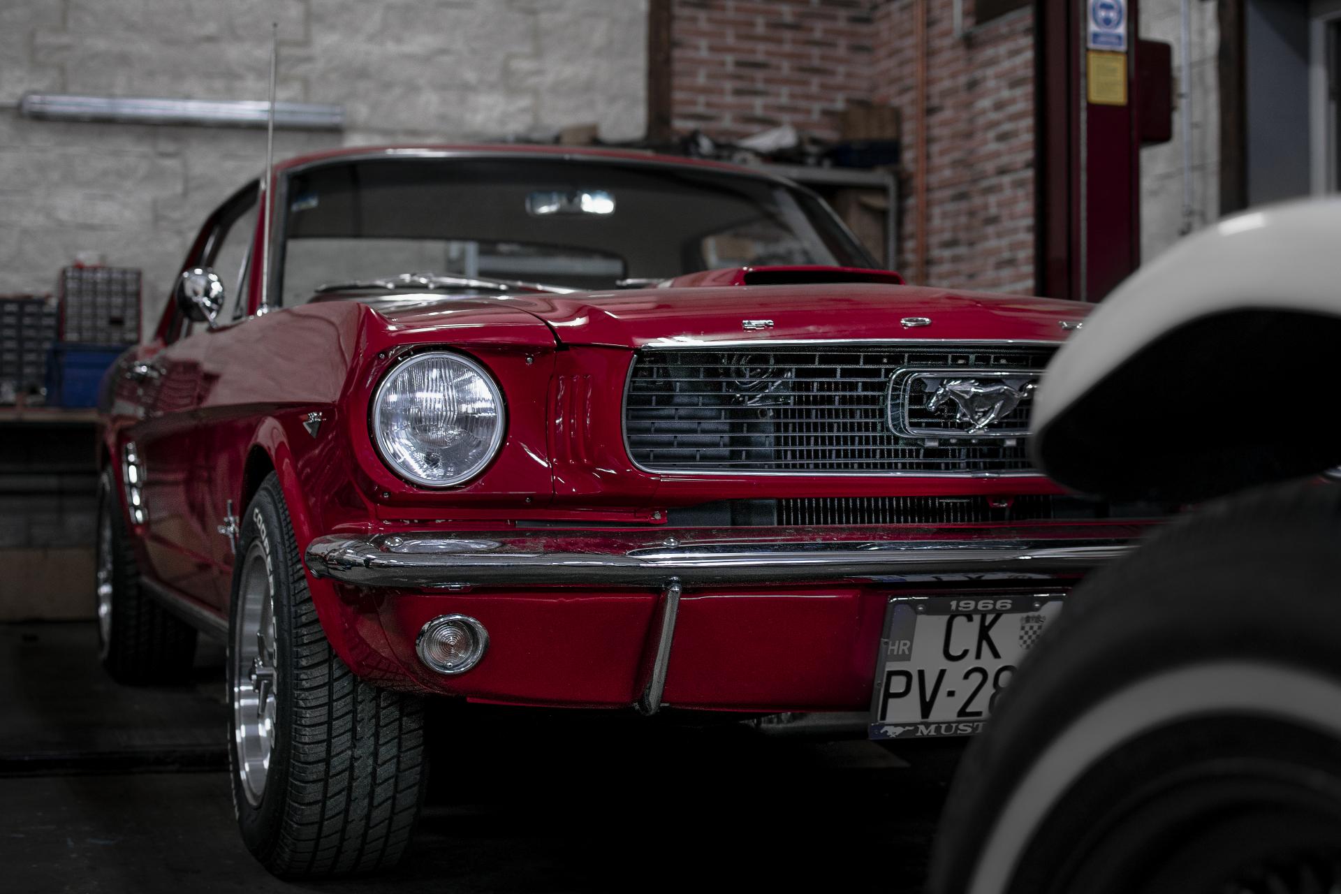 MUSTANG.jpg