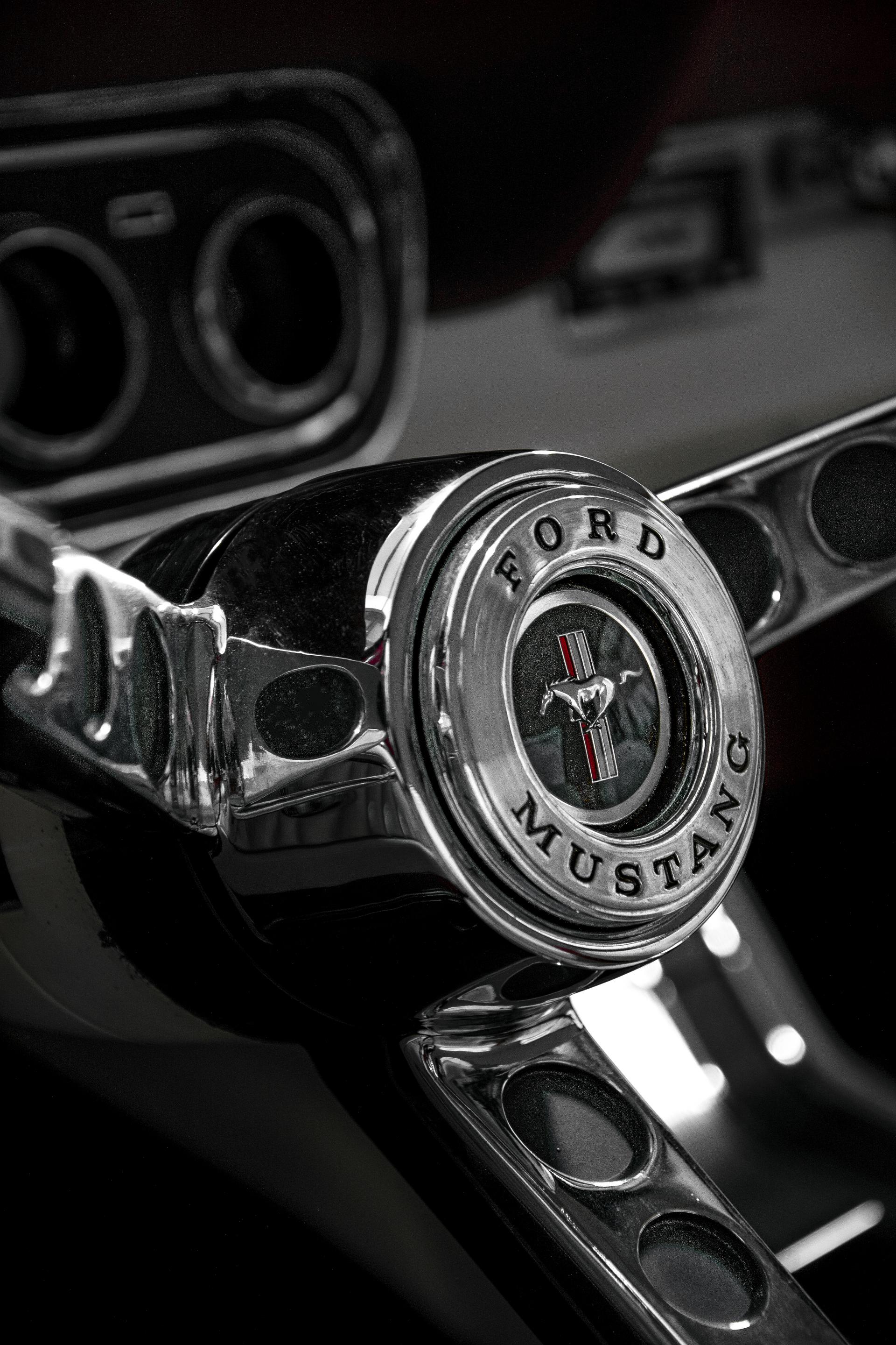 MUSTANG1.jpg