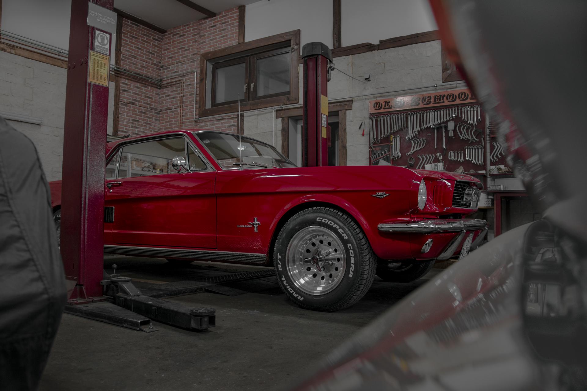 MUSTANG2.jpg