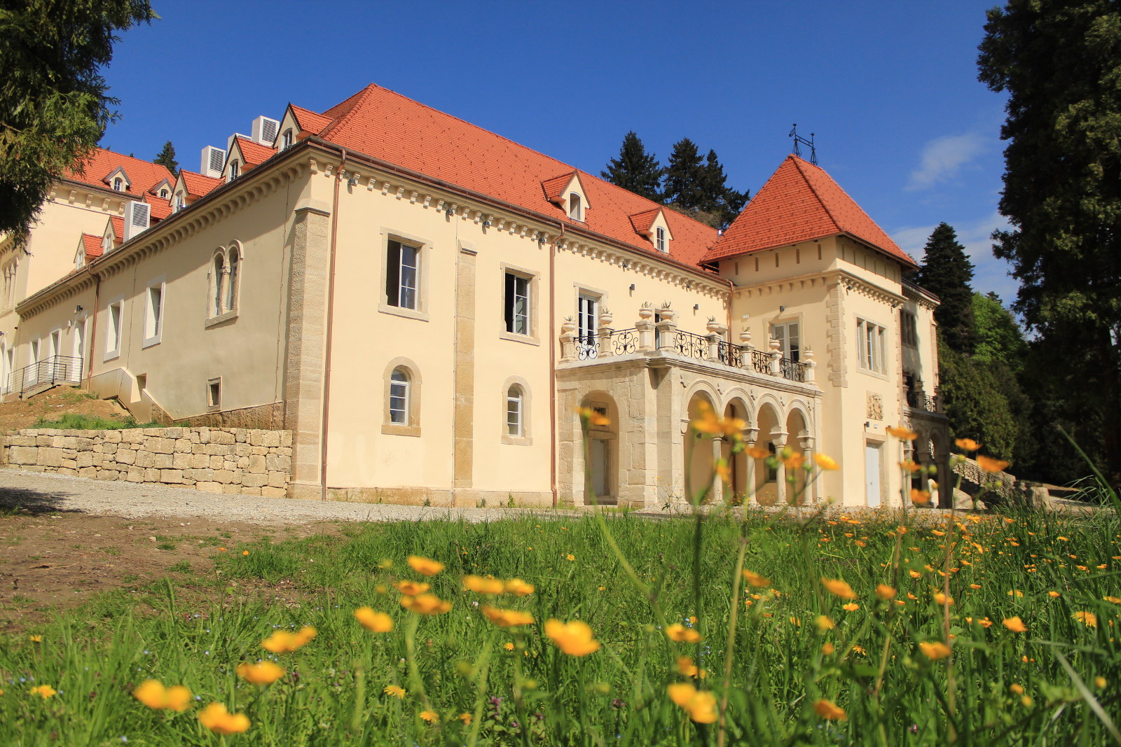 dvorac_opeka_30042025.JPG