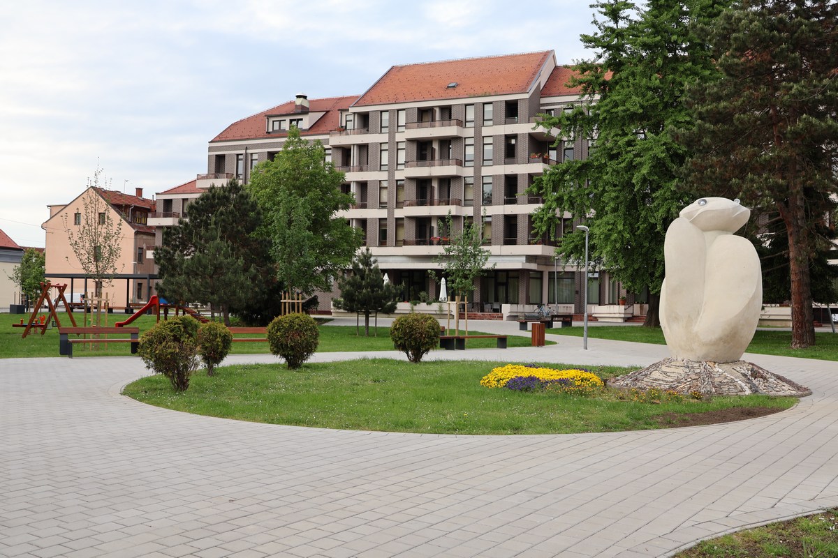 IMG_3640.jpg