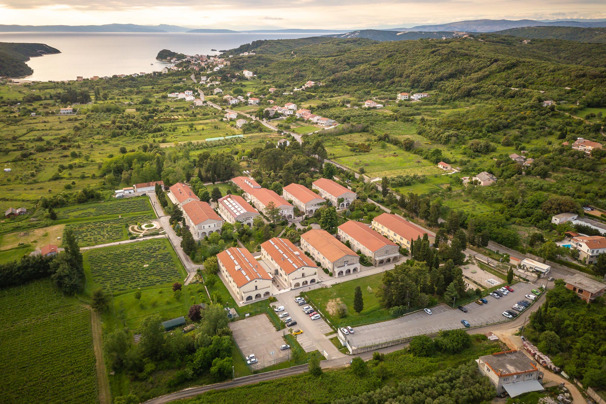 ZSB-Insula-promo-clanak-1.jpg